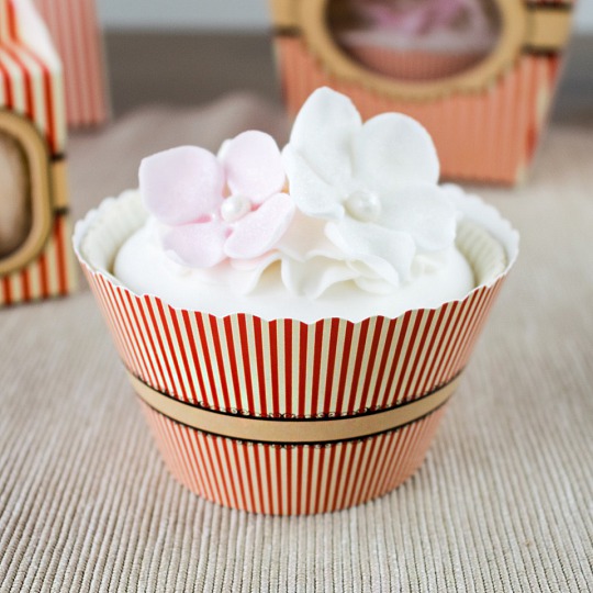 Košíček na cupcake - Sweetness V (12 Ks) - CC5030