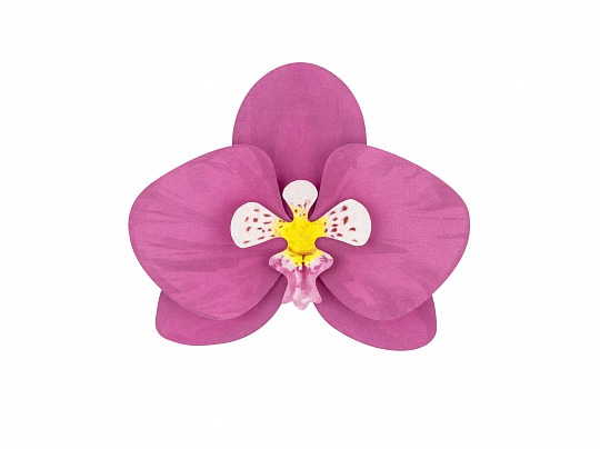 PártyDeco - Paper decorations Aloha - Orchids (6 ks) - DS008