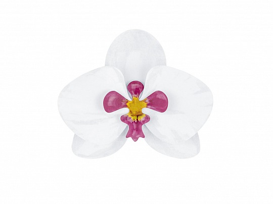 PártyDeco - Paper decorations Aloha - Orchids (6 ks) - DS008