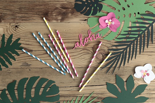 PártyDeco - Paper decorations Aloha - Orchids (6 ks) - DS008