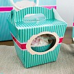 Krabička na cupcake - Sweetness III (8 Ks) - K11-5028-01