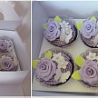 Košíček na cupcake - sada 12 ks - CC1303