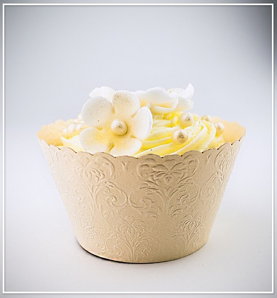 Košíček na cupcake - sada 12 ks - CC1403